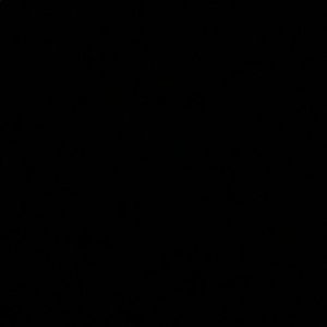 Meet your Posher, Saweetie